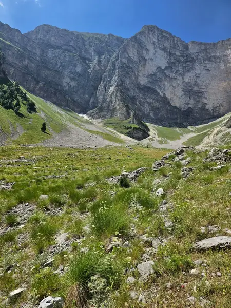 Mountain Safari